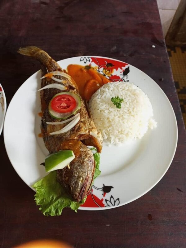 GRILLED-FISH-RICE-DODO